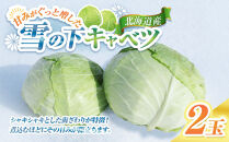 【先行予約】【数量限定】北海道産雪の下キャベツ２玉