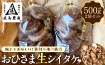 永島農園 おひさま生シイタケ500g入り袋×２袋セット【10月下旬から発送】