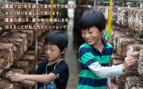 永島農園&nbsp;&nbsp;きのこ狩り体験チケット&nbsp;１人分