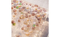 桜舞うガラス表札&nbsp;