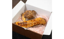 夢やまびこ豚&nbsp;塩糀プレミアムセット贅沢ブロックチャーシュー×トロトロ煮豚