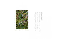 湯布院　ＭＩＫＡＴＡ&nbsp;KO-HA(香葉)のリードディフューザーNo.05&nbsp;清芽