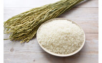 令和7年北海道産&nbsp;きらら397&nbsp;10kg（5kg×2袋）【旭川市産】_05310