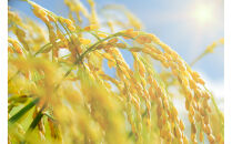 令和7年北海道産&nbsp;きらら397&nbsp;10kg（5kg×2袋）【旭川市産】_05310