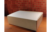 (レンジ対応)長州どりの辛くないクリーミーグリーンカレー6食入