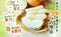 【2026年発送／先行予約】梨「甘太」約3kg（3～5玉入）10月中旬～順次発送【松崎果樹園】