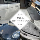 EK-PRO　水無しで洗車と撥水コーティング同時施工！EK-PRO500mlクロスセット	EK-ZEROより主成分1.5倍！！