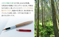 クリプトメリア&nbsp;ペンシルホルダー