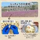 【業務用】鳥取県産砂丘らっきょう　500ｇ×2