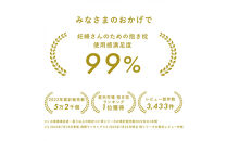 4208-8888-31■妊婦さんのための洗える抱きまくら　エミ　追加のわた付き　ラージサイズ　スターレットシルバー