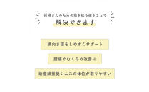 4207-8888-31■妊婦さんのための洗える抱きまくら　エミ　追加のわた付き　レギュラーサイズ　スターレットシルバー