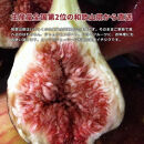 和歌山産&nbsp;いちじく&nbsp;秀品&nbsp;約800g&nbsp;(400g×2パック)
