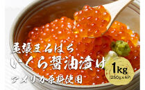いくら 醤油漬け  1kg(250g×4P) アメリカ 鮭の卵 化粧箱入 尾張まるはち