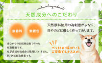 菊の香り&nbsp;かとりせんこう50巻+線香皿付き