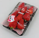 内子町産　いちご「紅ほっぺ」　4パック