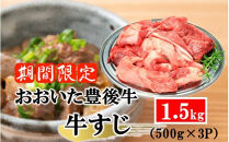 【期間限定 9月30日まで】豊後牛 牛すじ肉 1.5kg （500g×3P）スジ 牛筋 黒毛和牛 国産 煮込み料理_2591R-2