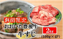 【期間限定 9月30日まで】豊後牛 牛すじ肉 2kg （500g×4P）スジ 牛筋 黒毛和牛 国産 煮込み料理_2591R-3
