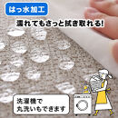 PallyPally&nbsp;トイレマット&nbsp;IV