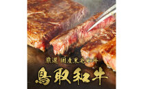 【和牛セレブ（12ヶ月定期便）】鳥取県産牛ヒレステーキ4枚×12か月間