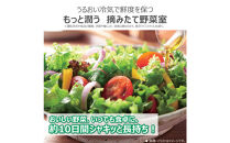 東芝　冷蔵庫【標準設置費込み】　461L　6ドア　両開き　冷凍冷蔵庫　GR-Y460FZ(UC)