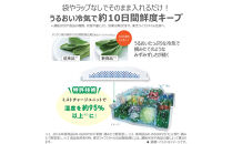 東芝　冷蔵庫【標準設置費込み】　461L　6ドア　両開き　冷凍冷蔵庫　GR-Y460FZ(ZH)