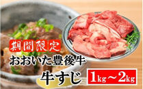 【期間限定 9月30日まで】豊後牛 牛すじ肉 1.0kg～2.0kg （500g×2P～4P）スジ 牛筋 黒毛和牛 国産 煮込み料理_2591R