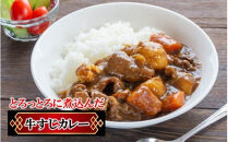 【期間限定 9月30日まで】豊後牛 牛すじ肉 1.0kg～2.0kg （500g×2P～4P）スジ 牛筋 黒毛和牛 国産 煮込み料理_2591R