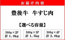 【期間限定 9月30日まで】豊後牛 牛すじ肉 1.0kg～2.0kg （500g×2P～4P）スジ 牛筋 黒毛和牛 国産 煮込み料理_2591R