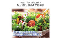東芝　冷蔵庫【標準設置費込み】　501L　5ドア　右開き　冷凍冷蔵庫　GR-Y500GTM(WS)
