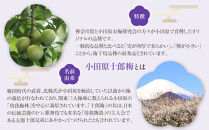 【小田原のブランド梅の大粒梅干し】雲上５個入り【&nbsp;梅干し&nbsp;神奈川県&nbsp;小田原市&nbsp;】