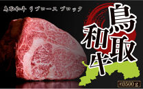 鳥取和牛&nbsp;リブロース&nbsp;ブロック&nbsp;約3500g