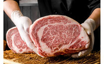 鳥取和牛&nbsp;リブロース&nbsp;ブロック&nbsp;約3500g