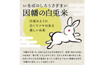 【令和7年度産】因幡の白兎米&nbsp;コシヒカリ&nbsp;精米済&nbsp;20kg&nbsp;(&nbsp;5kg×4袋&nbsp;)