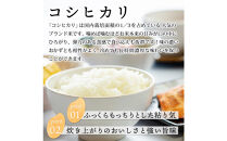 【令和7年度産】因幡の白兎米&nbsp;コシヒカリ&nbsp;精米済&nbsp;20kg&nbsp;(&nbsp;5kg×4袋&nbsp;)