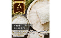 【令和7年度産】因幡の白兎米&nbsp;コシヒカリ&nbsp;精米済&nbsp;20kg&nbsp;(&nbsp;5kg×4袋&nbsp;)