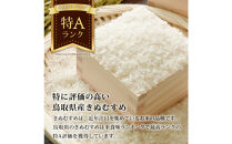 【令和7年度産】因幡の白兎米&nbsp;きぬむすめ&nbsp;精米済&nbsp;20kg&nbsp;(&nbsp;5kg×4袋&nbsp;)