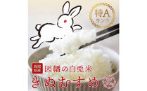 【令和7年度産】因幡の白兎米&nbsp;きぬむすめ&nbsp;精米済&nbsp;20kg&nbsp;(&nbsp;5kg×4袋&nbsp;)