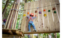 フォレストアドベンチャー・小田原キッズコース体験チケット（小人）【&nbsp;体験チケット&nbsp;神奈川県&nbsp;小田原市&nbsp;】