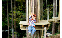 フォレストアドベンチャー・小田原キッズコース体験チケット（小人）【&nbsp;体験チケット&nbsp;神奈川県&nbsp;小田原市&nbsp;】