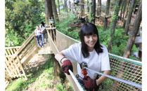 フォレストアドベンチャー・小田原ジップトリップコース体験チケット（大人、小人共通）【&nbsp;体験チケット&nbsp;神奈川県&nbsp;小田原市&nbsp;】