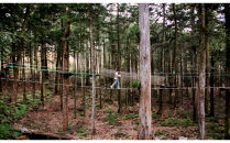 フォレストアドベンチャー・小田原ジップトリップコース体験チケット（大人、小人共通）【&nbsp;体験チケット&nbsp;神奈川県&nbsp;小田原市&nbsp;】