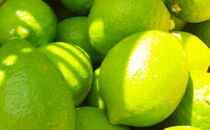 国産 農家直送 紀州レモン 約3kg サイズ混合 ［MS122］