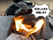 みんなでつくる着火剤（３本入り）１０袋