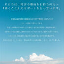 みんなでつくる着火剤（３本入り）４０袋