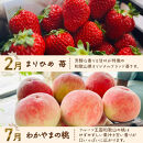 わかやま旬のフルーツ定期便[S]&nbsp;全4回&nbsp;2～3・7・10・11～12月発送&nbsp;家庭用［MS123］