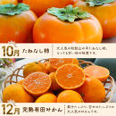 わかやま旬のフルーツ定期便[L]&nbsp;全4回&nbsp;2～3・7・10・11～12月発送&nbsp;家庭用［MS124］