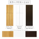 【完成品＋設置付き】壁面収納〔幅60cm・本体〕（ホワイト）壁面収納&nbsp;本棚&nbsp;扉付き&nbsp;収納&nbsp;棚&nbsp;cdラック&nbsp;dvdラック&nbsp;収納棚&nbsp;リビング&nbsp;オフィス&nbsp;台所&nbsp;キッチン&nbsp;書斎&nbsp;木製&nbsp;国産&nbsp;マグネット&nbsp;ラック&nbsp;シェルフ&nbsp;漫画&nbsp;扉付き収納&nbsp;整理棚&nbsp;書棚&nbsp;おしゃれ&nbsp;LKONCB310600-0-WH