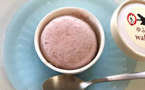 豆乳いちごアイス＆豆乳ラムレーズンアイスセット&nbsp;約80g×各3個入り&nbsp;計6個【ゆふいんwakoya】