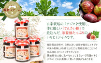 1003.いちじくジャム&nbsp;4瓶&nbsp;|&nbsp;いちじく&nbsp;無花果&nbsp;イチジクジャム&nbsp;無花果ジャム&nbsp;ジャム&nbsp;&nbsp;ヨーグルト&nbsp;健康食品&nbsp;鳥取県&nbsp;北栄町&nbsp;おすすめ&nbsp;人気
