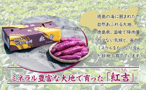 さつまいも なると金時 紅吉（べにきち）2kg  芋 いも